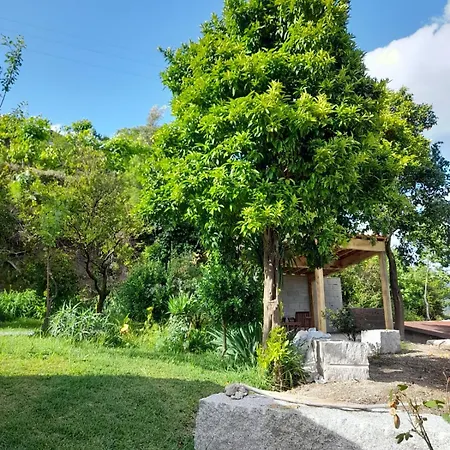 بيت للعطل Abrigo Do Verao Maison Pres Du *